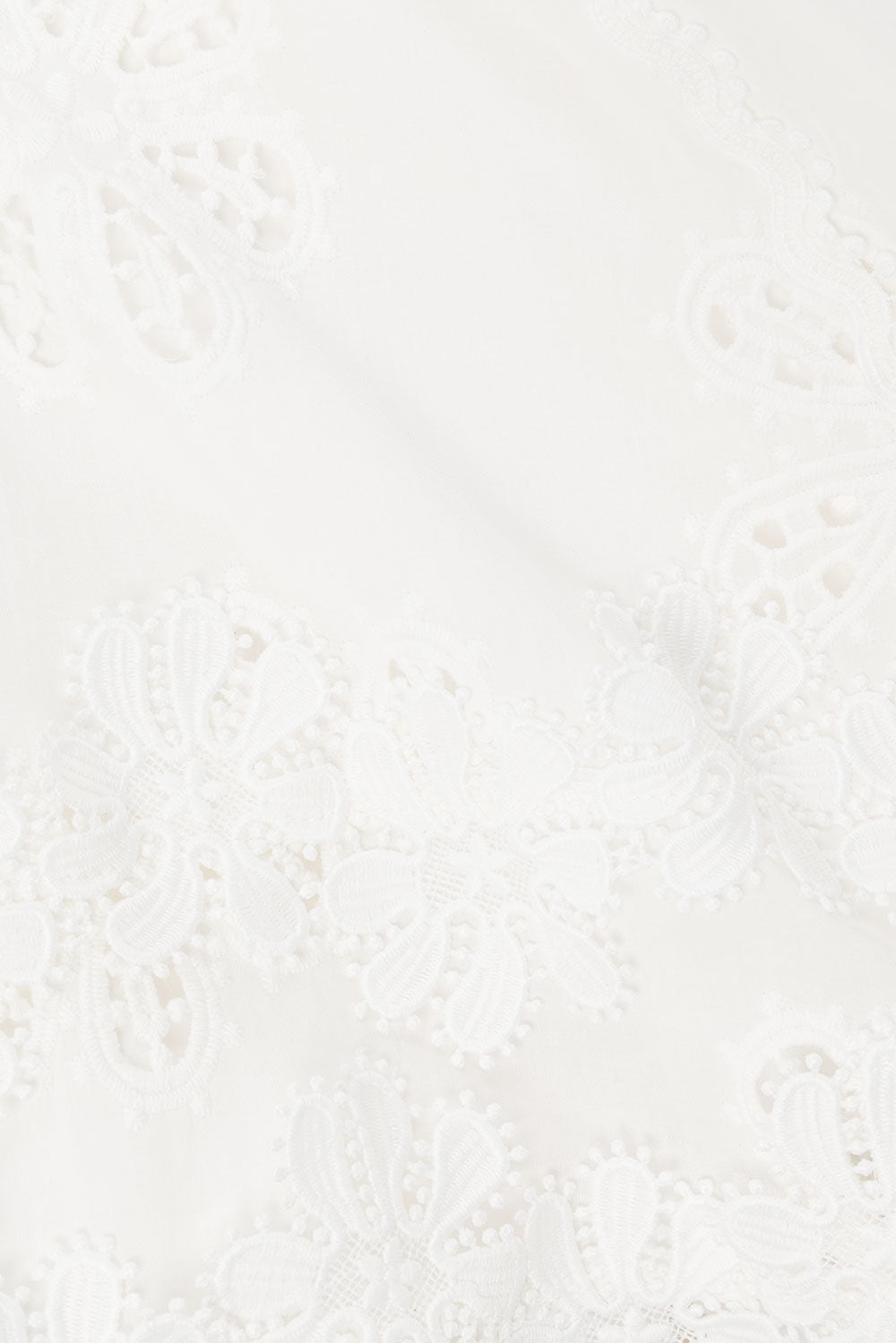 Valetti Giaro | Fiene Embroidered Cotton Lace Mini Dress