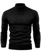 Lorenzo Turtle Neck Sweater